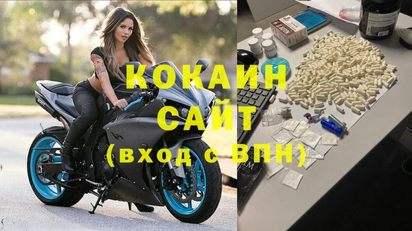 хмурый Абаза
