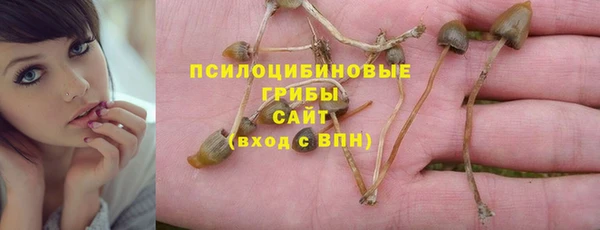 марки nbome Алексеевка