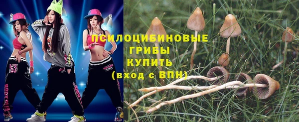 хмурый Абаза