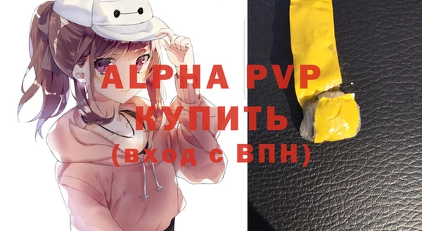 хмурый Абаза