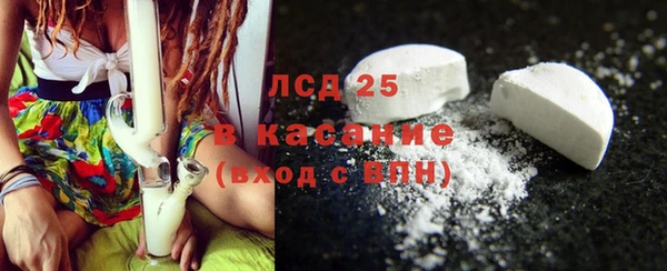 хмурый Абаза